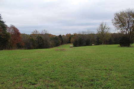 Selling 77 Acre Cattle Farm and Home in 10 Tracts @ Auction - image 12