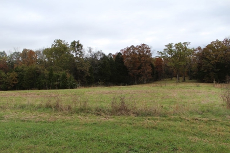 Selling 77 Acre Cattle Farm and Home in 10 Tracts @ Auction - image 17