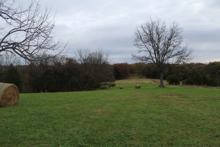 Selling 77 Acre Cattle Farm and Home in 10 Tracts @ Auction - image 15