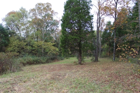 Selling 77 Acre Cattle Farm and Home in 10 Tracts @ Auction - image 26