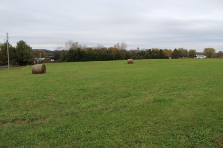 Selling 77 Acre Cattle Farm and Home in 10 Tracts @ Auction - image 5