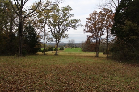 Selling 77 Acre Cattle Farm and Home in 10 Tracts @ Auction - image 29