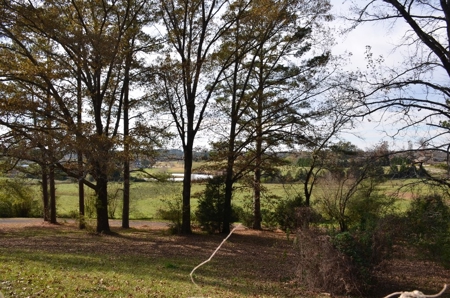 Live Absolute Auction 2 Bedroom Brick Home in Hartselle, AL - image 10