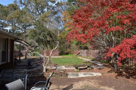 Live Absolute Auction 2 Bedroom Brick Home in Hartselle, AL - image 6