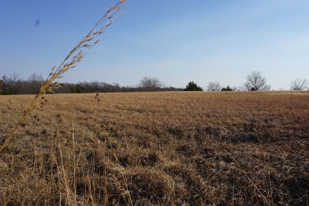 No Reserve Auction, Pottawatomie County, 85 Acre +/- - image 6
