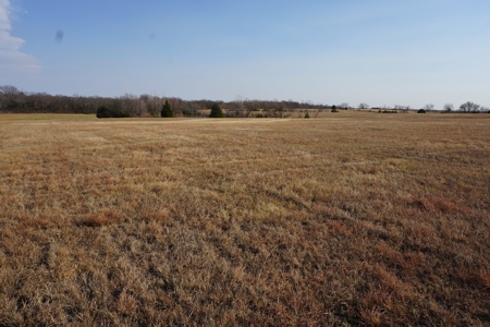 No Reserve Auction, Pottawatomie County, 85 Acre +/- - image 5