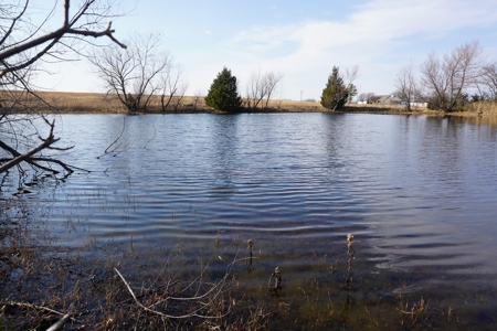 No Reserve Auction, Pottawatomie County, 85 Acre +/- - image 7