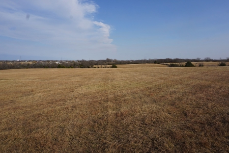 No Reserve Auction, Pottawatomie County, 85 Acre +/- - image 4