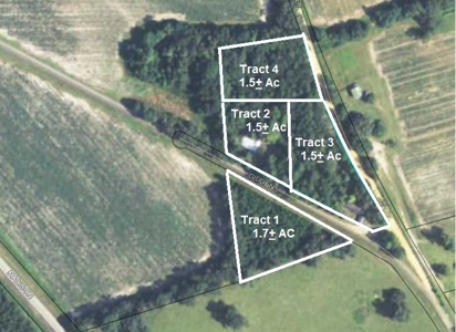 (2) County Homes & (2) Barns - Brooks County, Quitman, GA - image 14