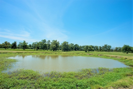 Cattle Ranch on Large Acreage for Sale in Northeast Texas - image 30