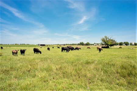 Cattle Ranch on Large Acreage for Sale in Northeast Texas - image 13