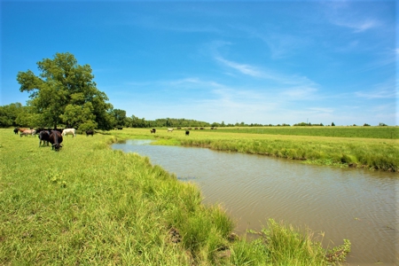 Cattle Ranch on Large Acreage for Sale in Northeast Texas - image 26