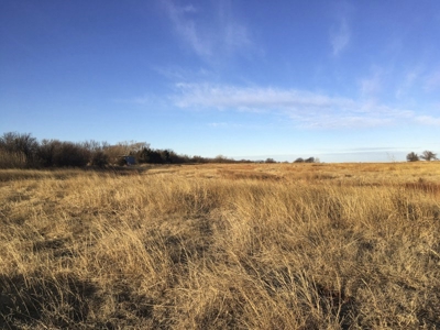 FARM AUCTION near Enid, OK (Farm #2) - image 3