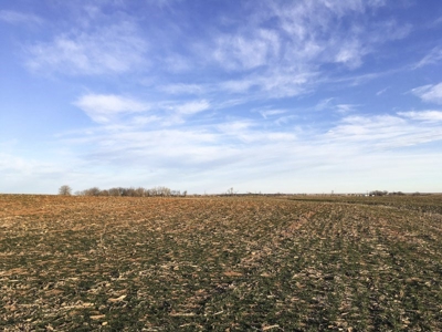 FARM AUCTION near Enid, OK (Farm #2) - image 9