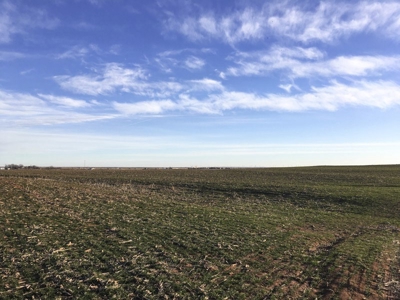 FARM AUCTION near Enid, OK (Farm #2) - image 10
