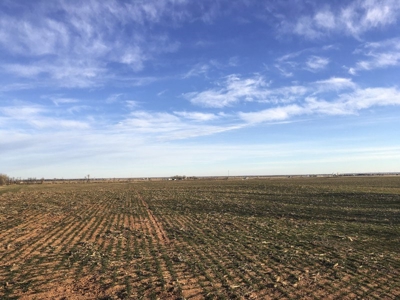 FARM AUCTION near Enid, OK (Farm #2) - image 5