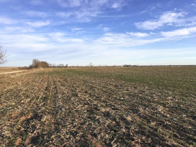 FARM AUCTION near Enid, OK (Farm #2) - image 14