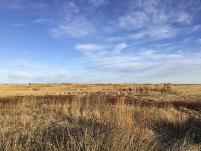 FARM AUCTION near Enid, OK (Farm #2) - image 2