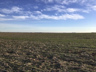 FARM AUCTION near Enid, OK (Farm #2) - image 12