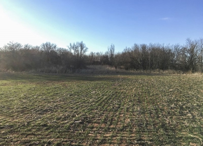 FARM AUCTION near Enid, OK (Farm #2) - image 11