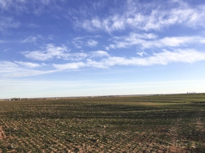 FARM AUCTION near Enid, OK (Farm #2) - image 6
