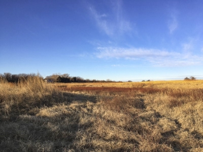 FARM AUCTION near Enid, OK (Farm #2) - image 1