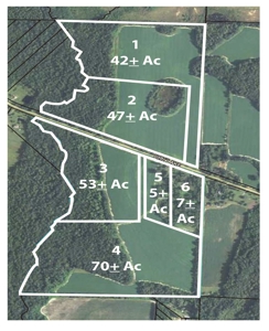 Prime Ga Farmland - Hunting- Brooks Co,. - image 4