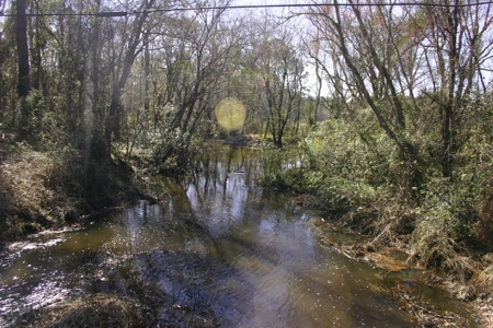 Prime Ga Farmland - Hunting- Brooks Co,. - image 9