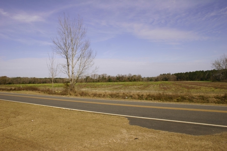 Prime Ga Farmland - Hunting- Brooks Co,. - image 6