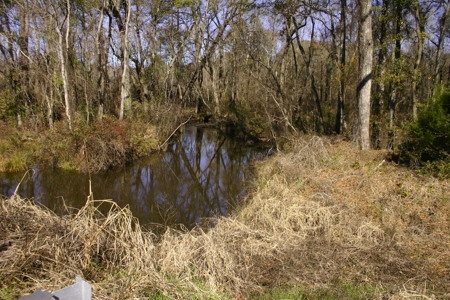 Prime Ga Farmland - Hunting- Brooks Co,. - image 8