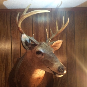 Prime Ga Farmland - Hunting- Brooks Co,. - image 2