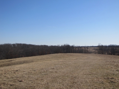 Northern Mo Land Auction, Pasture, Row Crop Land Auction - image 13