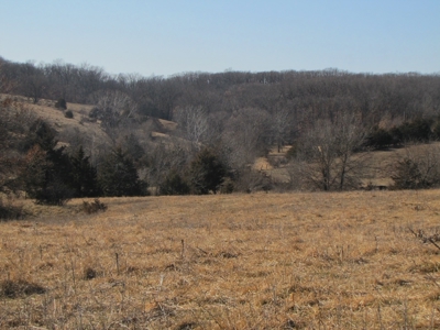 Northern Mo Land Auction, Pasture, Row Crop Land Auction - image 25