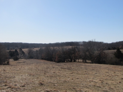 Northern Mo Land Auction, Pasture, Row Crop Land Auction - image 11