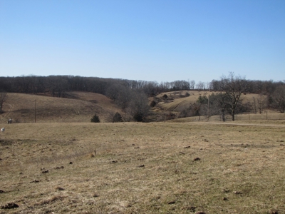 Northern Mo Land Auction, Pasture, Row Crop Land Auction - image 8