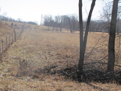 Northern Mo Land Auction, Pasture, Row Crop Land Auction - image 17