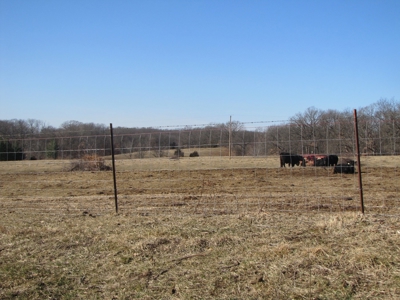 Northern Mo Land Auction, Pasture, Row Crop Land Auction - image 3