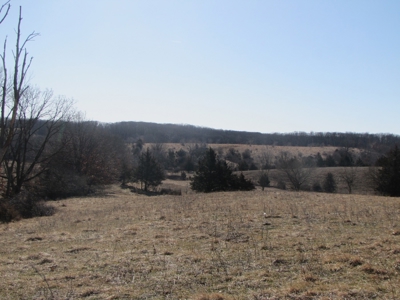 Northern Mo Land Auction, Pasture, Row Crop Land Auction - image 9