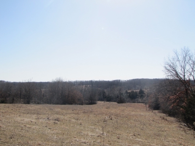 Northern Mo Land Auction, Pasture, Row Crop Land Auction - image 10