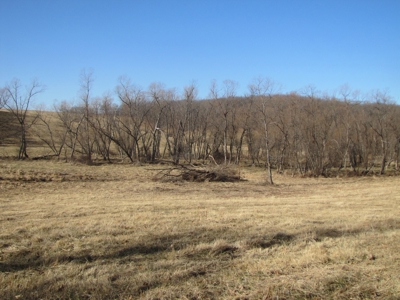Northern Mo Land Auction, Pasture, Row Crop Land Auction - image 19