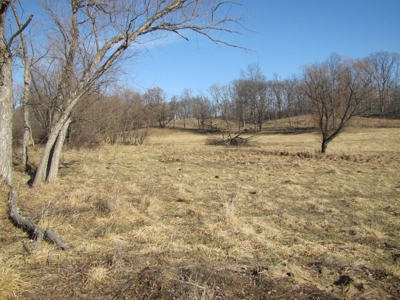 Northern Mo Land Auction, Pasture, Row Crop Land Auction - image 16