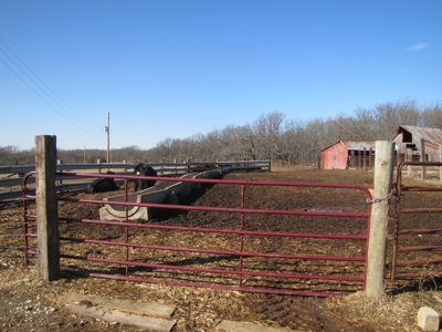 Northern Mo Land Auction, Pasture, Row Crop Land Auction - image 4