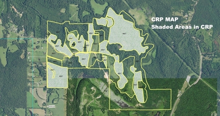 9.25 Acres Tract #8 Summit Chase Farms Auction - image 7