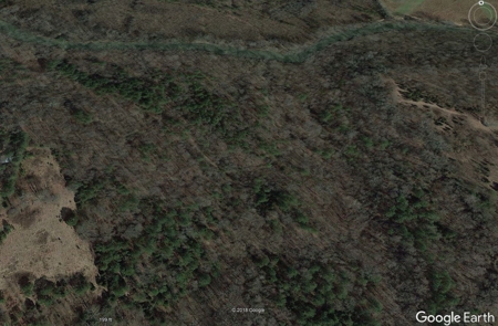 25.7 Acres Tract #9 Summit Chase Farms Auction - image 1