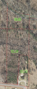 9.1 Acres Tract#10 Summit Chase Farms Auction - image 3