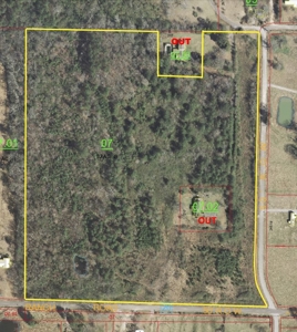 32 Acres Tract #11 Summit Chase Farms Auction - image 5