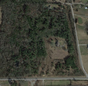 32 Acres Tract #11 Summit Chase Farms Auction - image 1