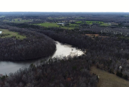 161 Acres Tract #14 Summit Chase Farms Auction - image 11