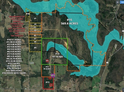 161 Acres Tract #14 Summit Chase Farms Auction - image 2