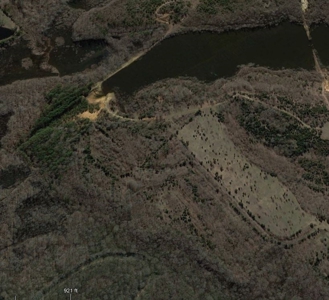 569.4 Acres Tract #15 Summit Chase Farms Auction - image 2
